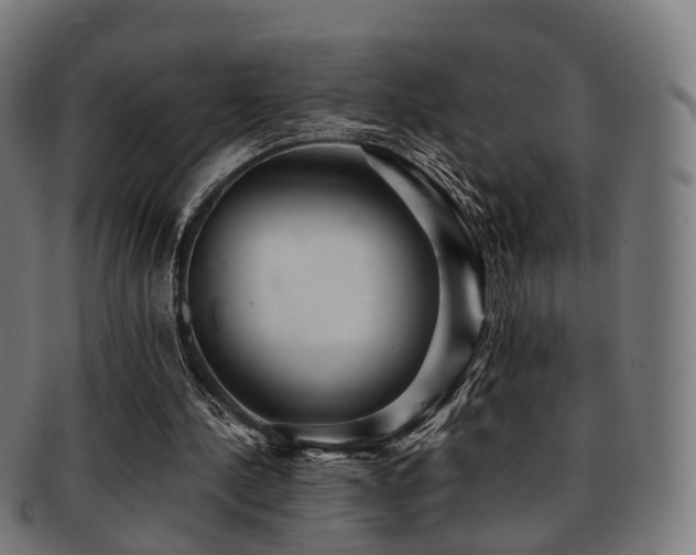 X0000091900244200709051408