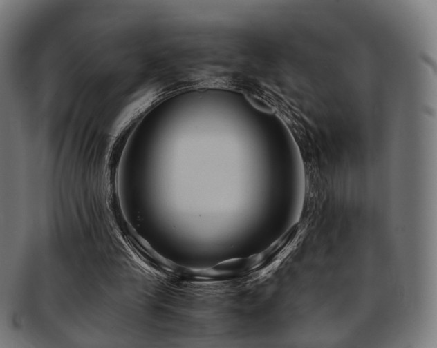 X0000091900245200709051408