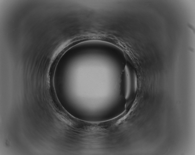 X0000091900246200709051408