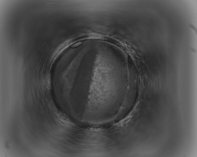 X0000091900247200709051408