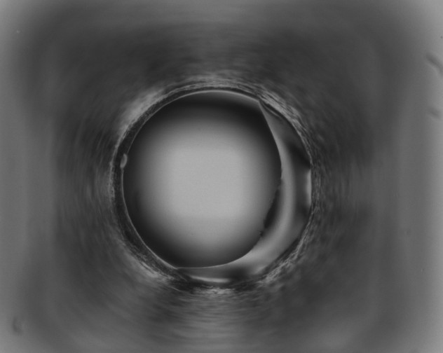 X0000091900248200709051408