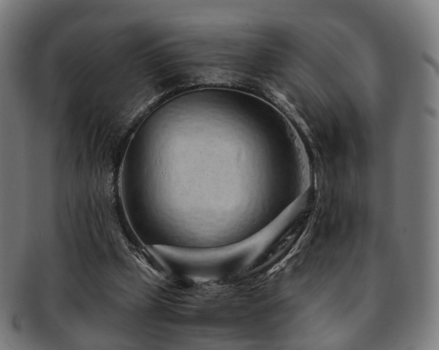 X0000091900249200709051408