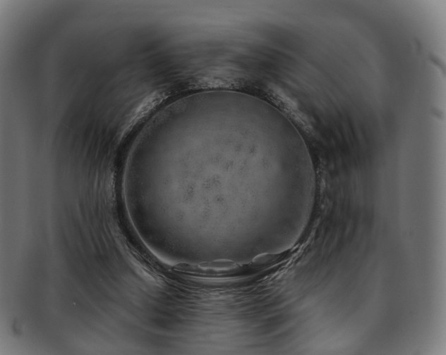 X0000091900250200709051408