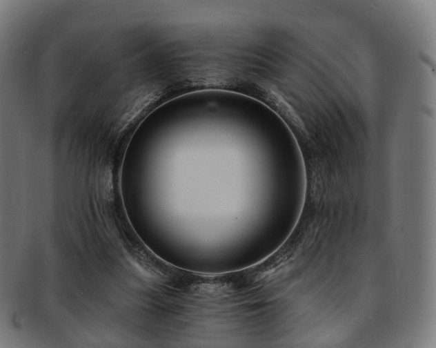 X0000091900251200709051408