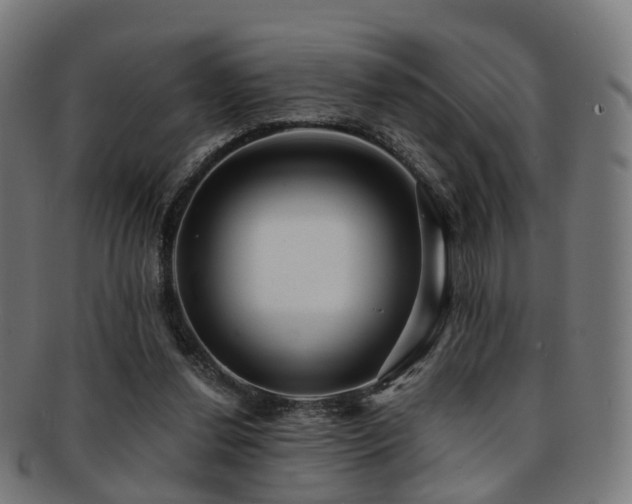 X0000091900252200709051408