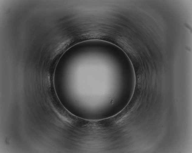 X0000091900254200709051408