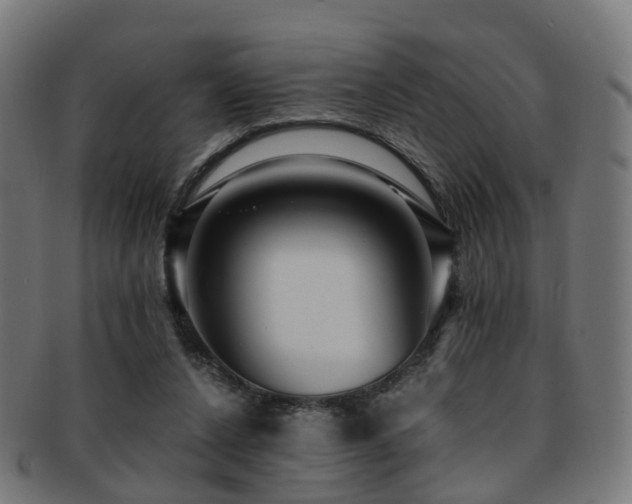 X0000091900256200709051408