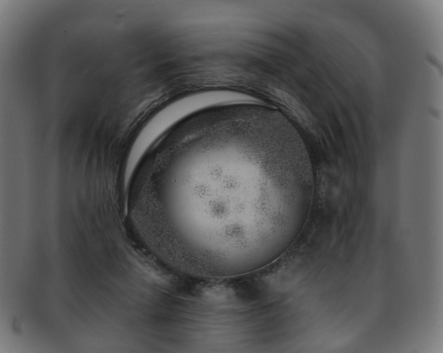 X0000091900258200709051408