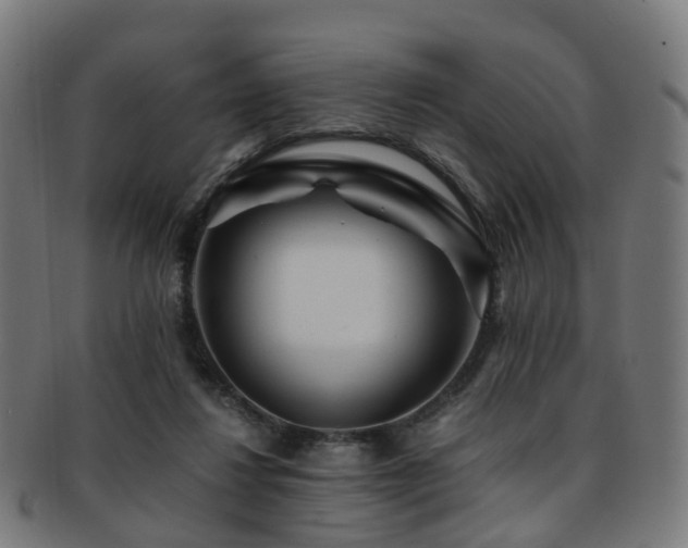 X0000091900260200709051408