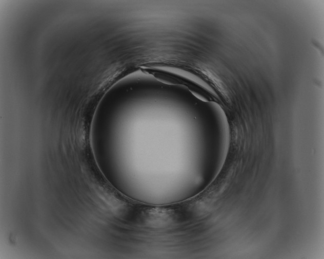 X0000091900261200709051408