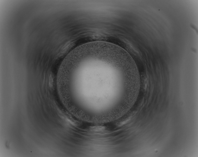 X0000091900266200709051408