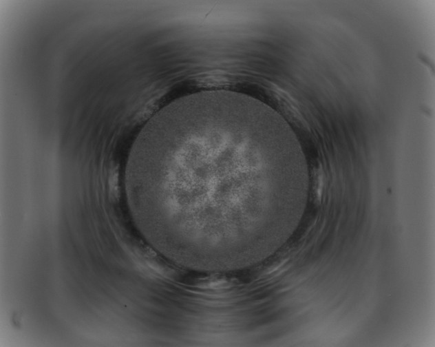 X0000091900267200709051408