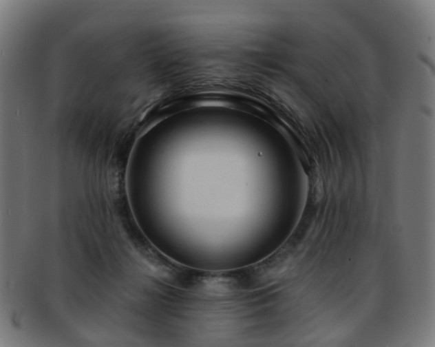 X0000091900268200709051408