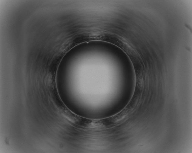 X0000091900270200709051408