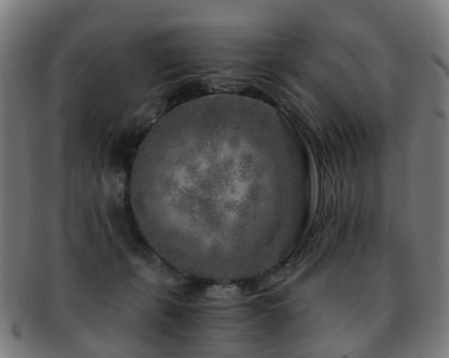 X0000091900271200709051408