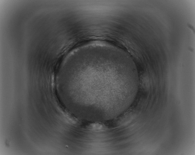 X0000091900272200709051408