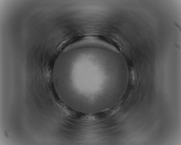 X0000091900276200709051408