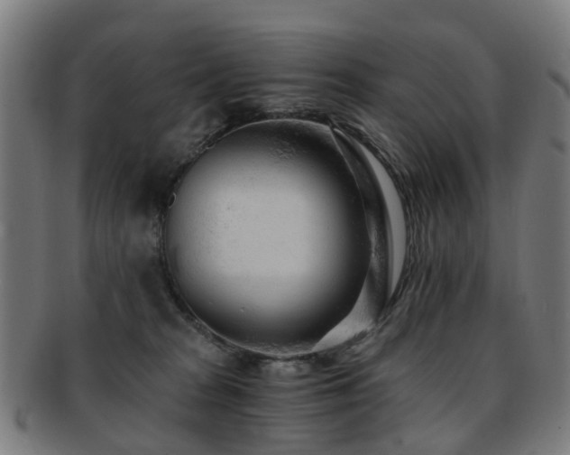 X0000091900277200709051408