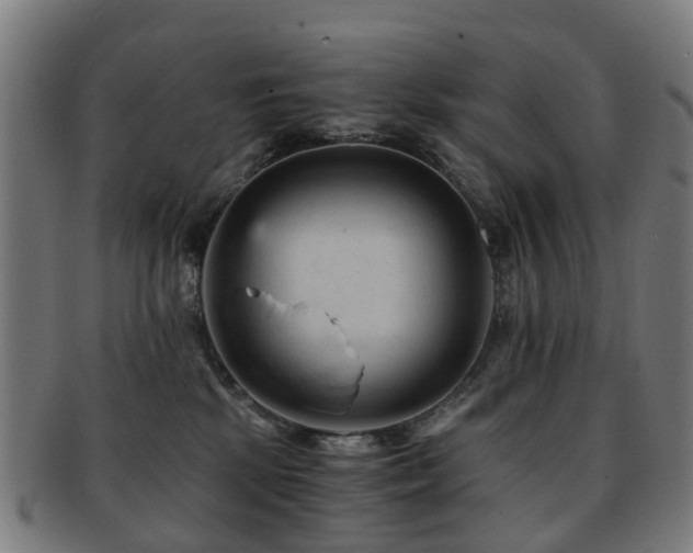 X0000091900281200709051408