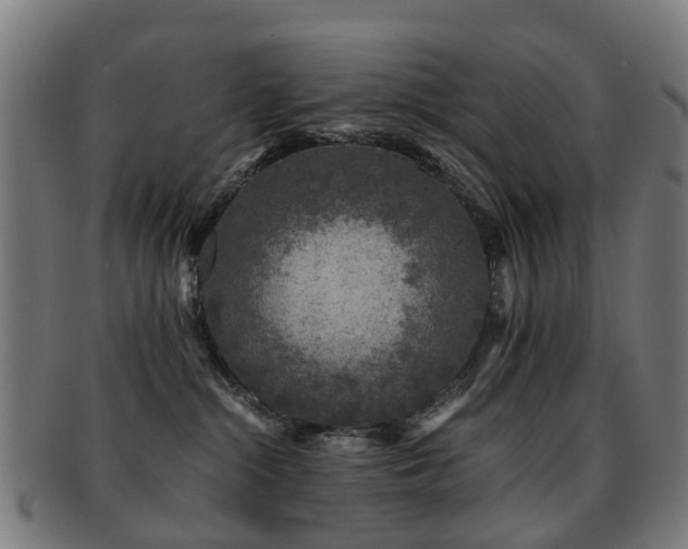 X0000091900284200709051408