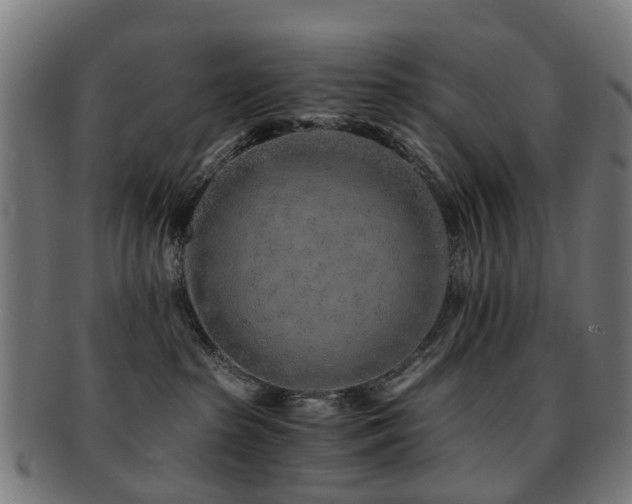 X0000091900285200709051408