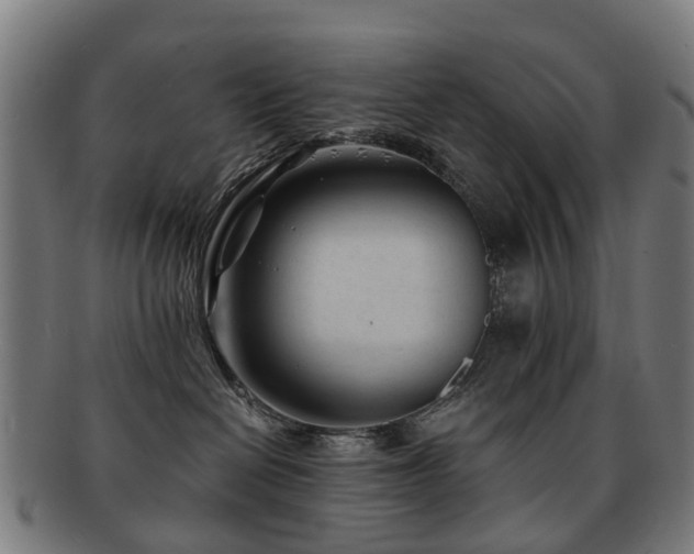 X0000091900286200709051408