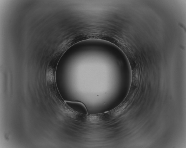 X0000091900287200709051408