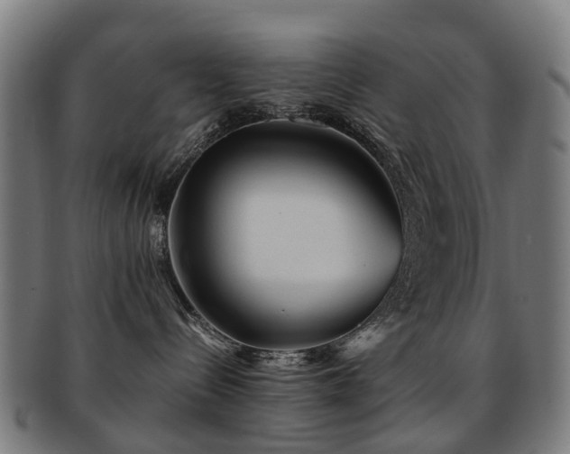 X0000091900288200709051408