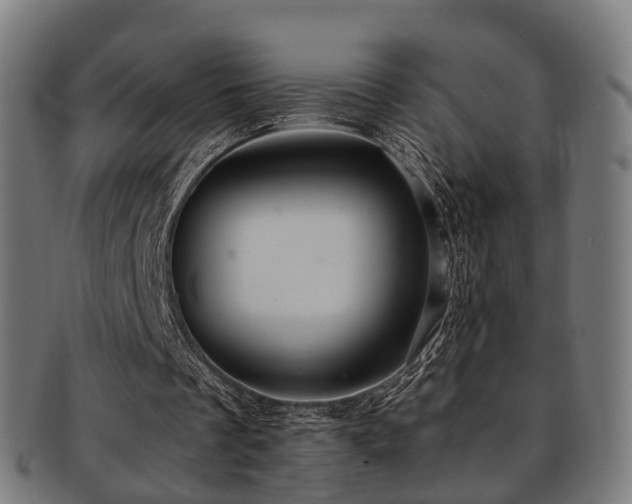 X0000091900289200709051408