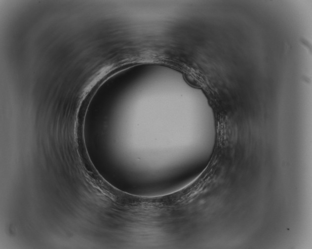 X0000091900292200709051408