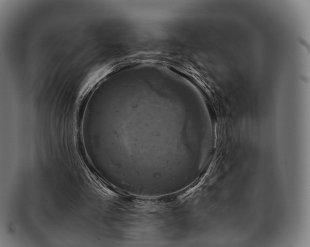 X0000091900293200709051408