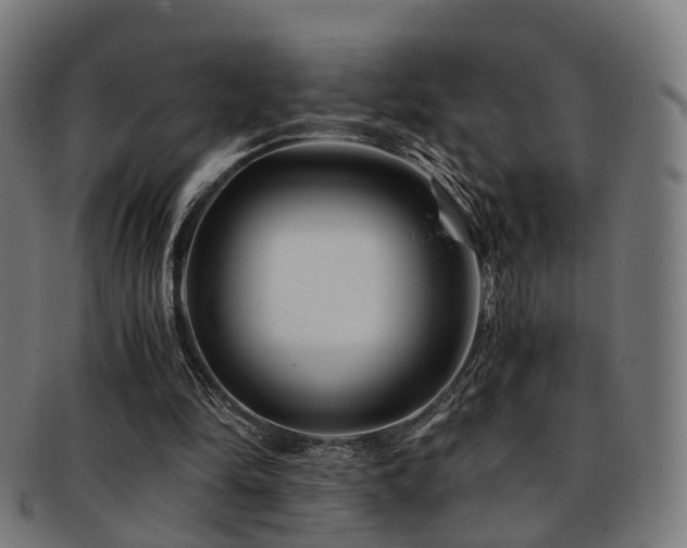 X0000091900294200709051408