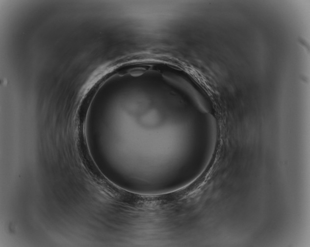 X0000091900295200709051408