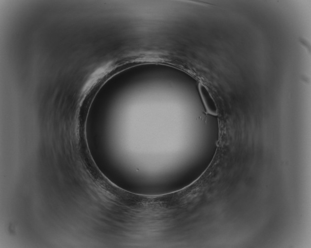 X0000091900296200709051408