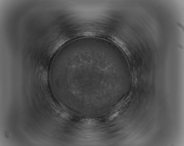 X0000091900297200709051408