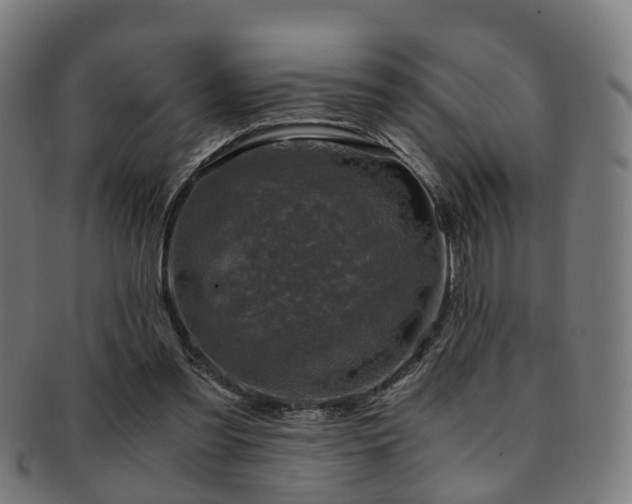 X0000091900301200709051408