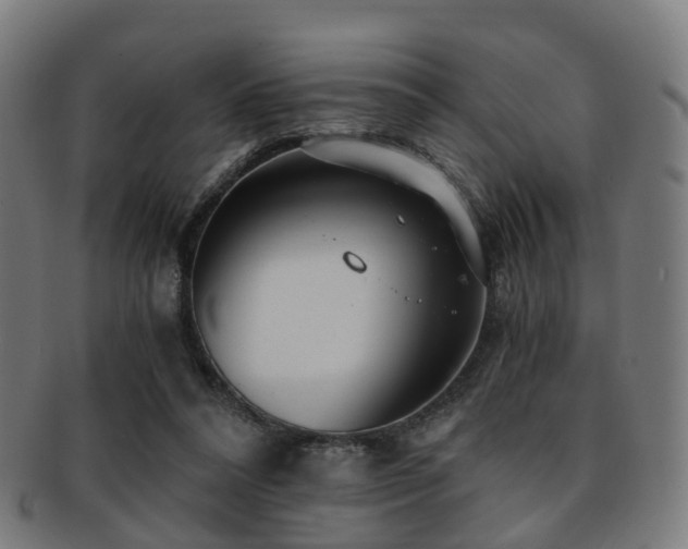 X0000091900304200709051408