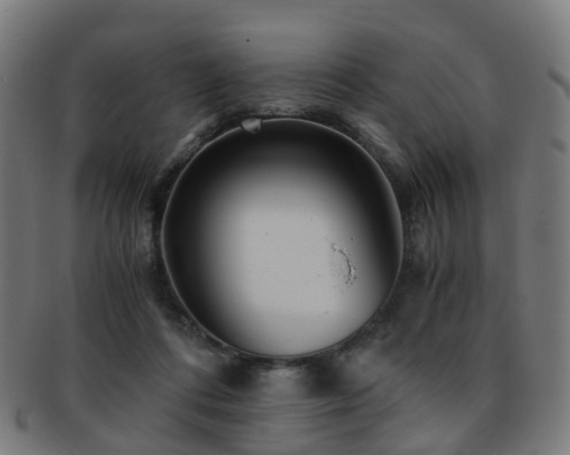 X0000091900312200709051408