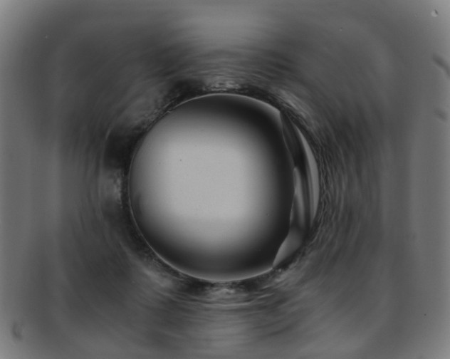 X0000091900315200709051407