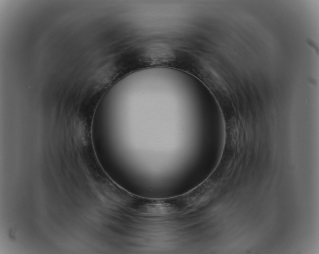 X0000091900316200709051407