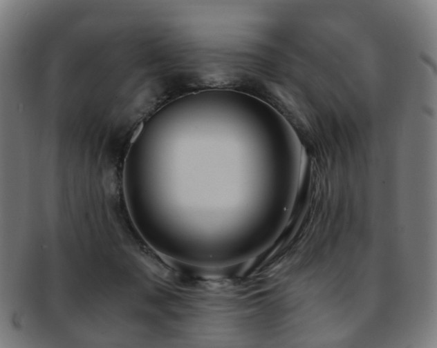 X0000091900317200709051407