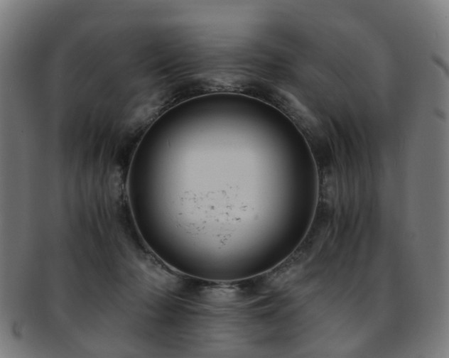 X0000091900318200709051407