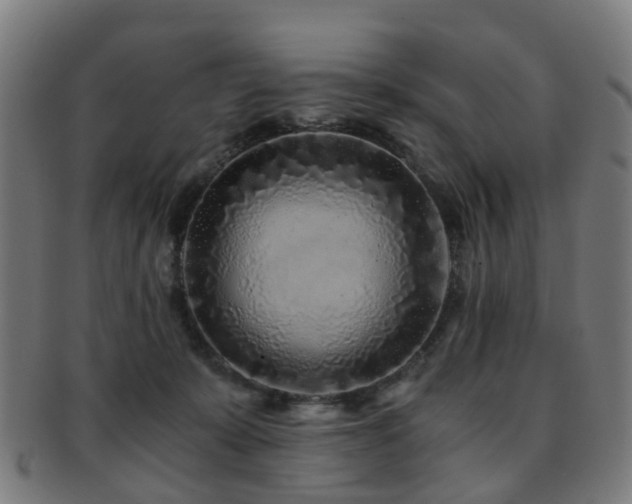 X0000091900319200709051407