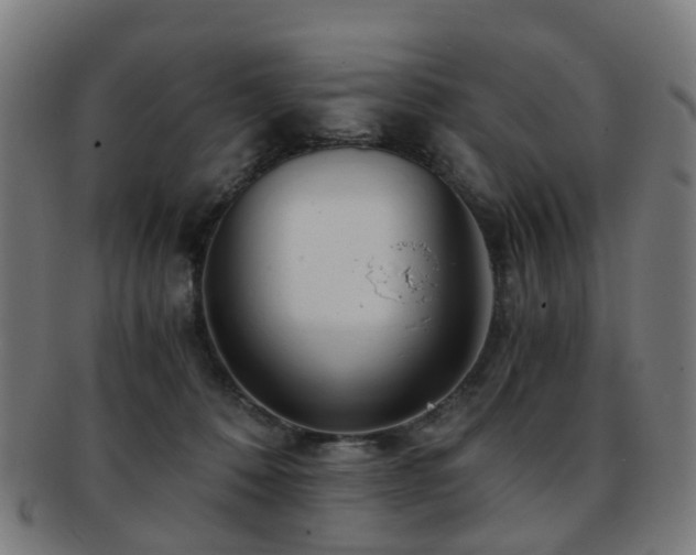 X0000091900320200709051407