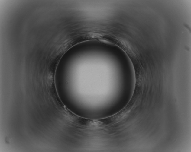 X0000091900321200709051407