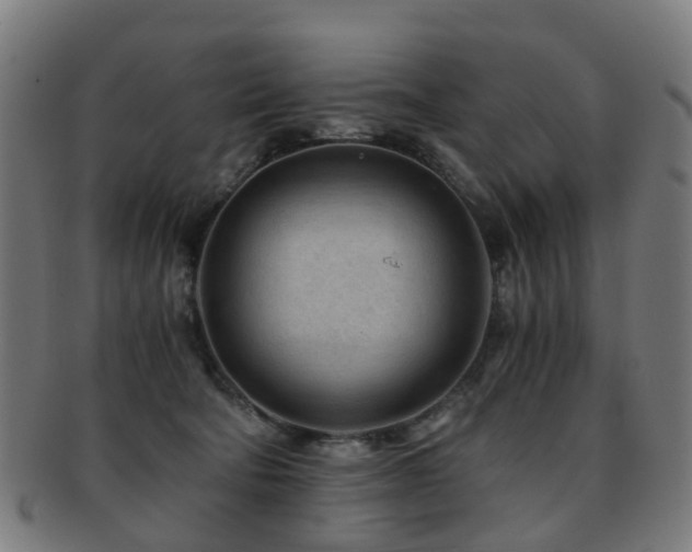 X0000091900322200709051407