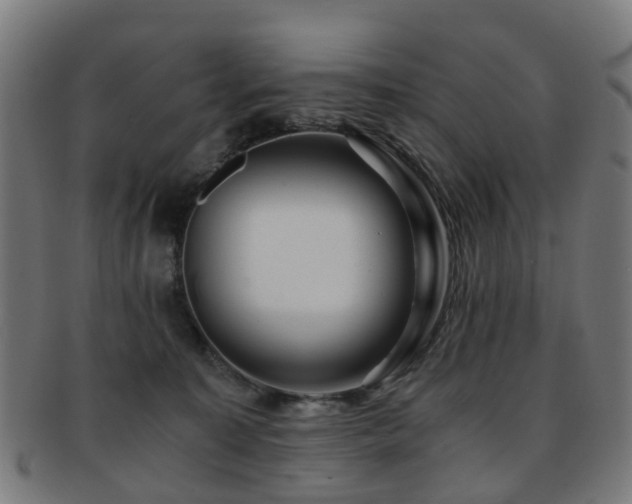 X0000091900323200709051407