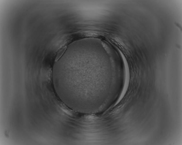 X0000091900325200709051407