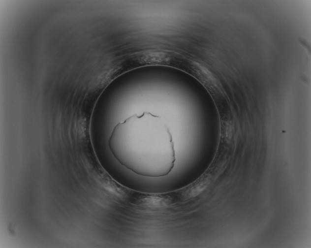 X0000091900326200709051407