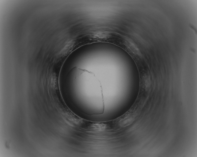 X0000091900328200709051407